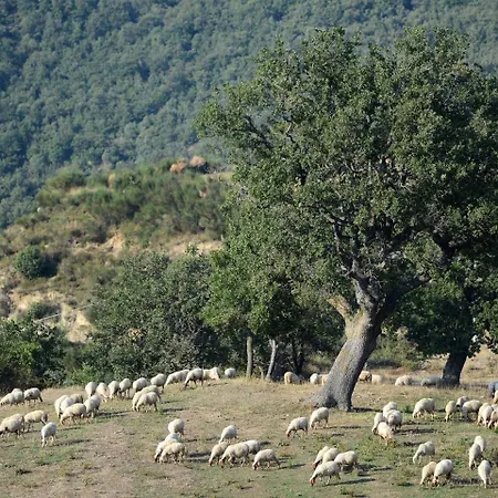 Masseria Castiglione * Gallicchio