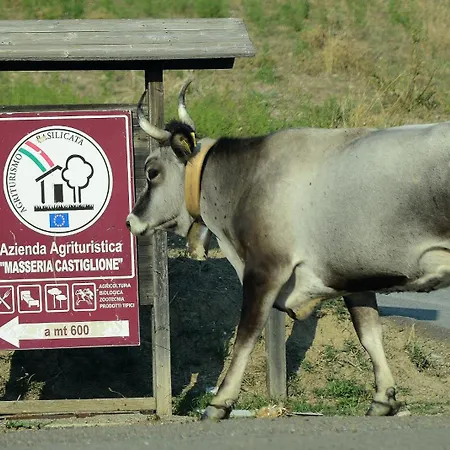 Masseria Castiglione Κατάλυμα σε φάρμα *
